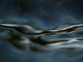 ART PASSION PHOTO