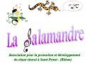 La Salamandre