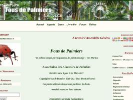 Fous de Palmiers
