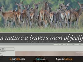 La nature à travers mon objectif
