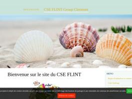 comité social et économique