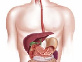 MEDECINE INTERNE GASTROENTEROLOGIE HEPATOLOGIE ENDOSCOPIE DIGESTIVE
