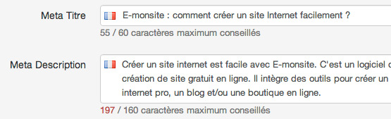 billet-seo-compteur-meta-zoom