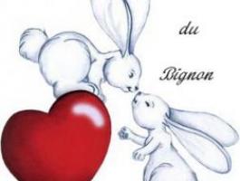 lapinousdubignon élevage familial de lapins nains