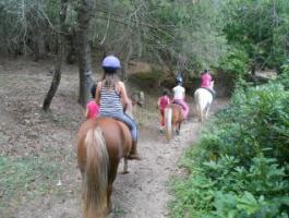 Les Poneys  du Val d'Emeraude  ,  gîte d'enfant