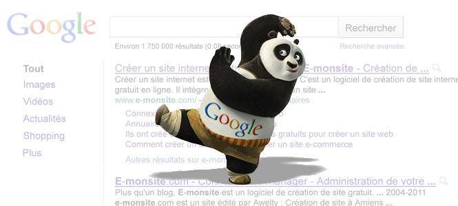 google-panda-extrait.jpg