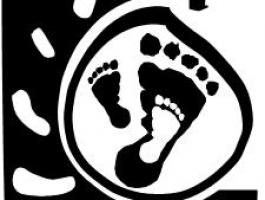 Les Pieds dans l'Ô