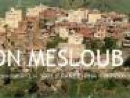 assomesloub