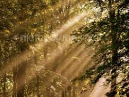 Nature en photos - Chantal Pérot