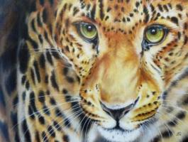 Art Passion Sauvage
