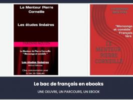 Ebooks pour le bac de français
