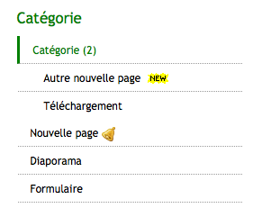 Afficher une icône nouveauté sur son site