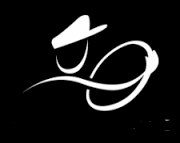 vtc Lyon chauffeur privé transport Lyon Genève