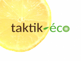 Taktik-éco