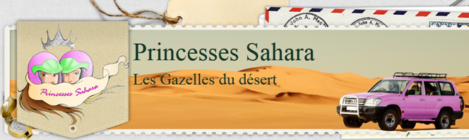 Créer un site pour trouver des sponsors : les gazelles du désert