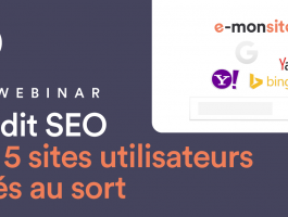 Webinar audit seo 5 sites